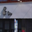 영도동물병원 이미지