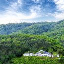 마이웨이 비발디 관광펜션 이미지