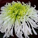 우리들이 보는 세상 이미지