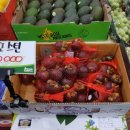 동천1통 네이버블로그