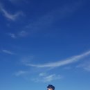 시드니 - 화성시 | 시드니