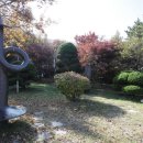 대륜고등학교 이미지