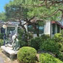 대웅닭갈비막국수 이미지