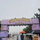 꼬미잇 | 인천 송도 맥주 축제 주말 방문 후기 (예매 링크, 주차 정보, 출연자 라인업, 맥주 라인업, 가격)