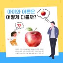 지혜의 사과 네이버블로그