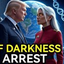 지구 리셋이 시작된다: 카발의 몰락과 QFS, 그리고 스타시드의 역할 이미지