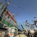 BK농장 | 자연 속 힐링 김해 BK승마랜드 승마체험 후기[부산 근교 이색데이트]