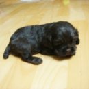 도봉-도봉-서울도봉-2335 이미지