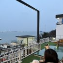 Y(와이)풀펜션 | 가성비 좋은 오션뷰 애견 동반 펜션 영흥도 미스터와이 풀빌라 내돈내산