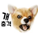 닥터 호오 동물병원 이미지