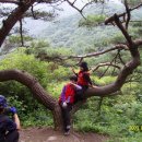 백두축산 이미지