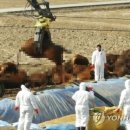 김정남농장 이미지