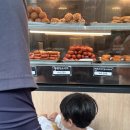 사계절랜드파크마검포텐트오토캠핑야영장 네이버블로그