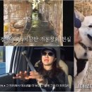 마리농장 이미지