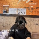 나혼자산다 NCT 도영이 다녀간 구리 떡볶이 맛집 벅시분식