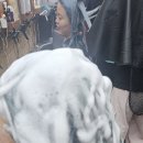 오뚜기헤어샵
