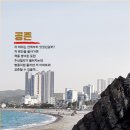 오이다(oida) 이미지