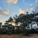 온더스톤펜션&게스트하우스 제주성산점 이미지