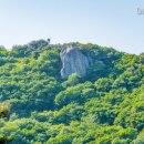 광성리광제 이미지