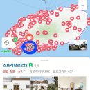 소보리당로222 | 제주 서귀포 감성있는 카페 소보리당로 222 후기