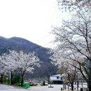 칠봉 송정 캠핑장 이미지