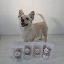 목포제일여자고등학교 | 목포 반려견 수제간식 헤르