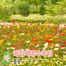 연기면_호수공원중앙수목원로 | 5월 봄꽃 명소 국립세종수목원 세종 가볼만한곳 충청도 봄 여행지