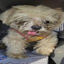 너더리길 이미지