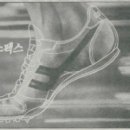 진양스포츠