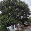 도곡리 마을회관 이미지