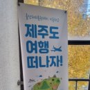 울산파티룸원데이 이미지