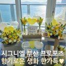 정성호텔 | 부산 시그니엘 호텔 프로포즈 후기! 싱그러운 생화 꽃장식 이벤트