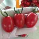 왕촌농산 이미지