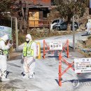 임순석 농장 이미지