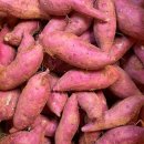 휘트니스A 이미지