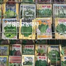 삼송로 205번길 이미지