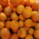 호원농장 이미지