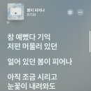 봄피어나