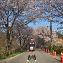 2022 대청호 벚꽃길 마라톤 대회 | 🏃🏾2025 대청호 벚꽃길 마라톤 대회 하프 후기!