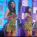 코러스 이미지