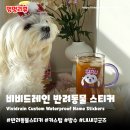 반려동물의류제작(중급) | 반려동물스티커 비비드레인 | 커스텀 방수 네임 주문제작 스티커 솔직 후기