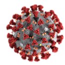 신종호치과의원 이미지