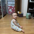 문성보조기 이미지