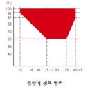 목조주택으로 내집을 짓는 다면 --- 30 (주거환경과 결로의 상관관계?) 이미지