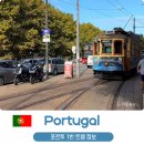 미라정보통신 | 포르투 1번 트램 시간표 루트 요금 꿀팁 등 도루강 제대로 즐기기