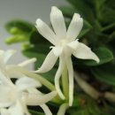 두엽농장 이미지