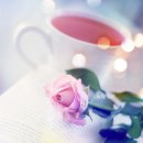 옛날 다방 그리고 그 시절 마담과 레지 이야기~ 이미지