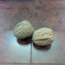 서현기린한의원 이미지