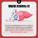B&K운동처방센터 | 5년간 엄마 괴롭힌 당뇨, 정상혈당 되돌린 후기(+단약)