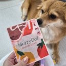 메리도프 이미지